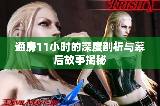 通房11小时的深度剖析与幕后故事揭秘