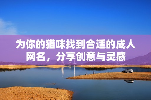 为你的猫咪找到合适的成人网名，分享创意与灵感