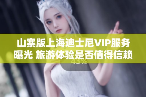 山寨版上海迪士尼VIP服务曝光 旅游体验是否值得信赖