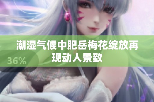 潮湿气候中肥岳梅花绽放再现动人景致