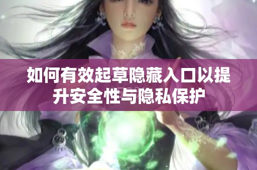 如何有效起草隐藏入口以提升安全性与隐私保护
