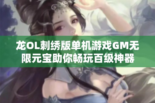 龙OL刺绣版单机游戏GM无限元宝助你畅玩百级神器