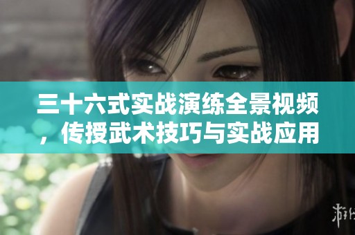 三十六式实战演练全景视频，传授武术技巧与实战应用