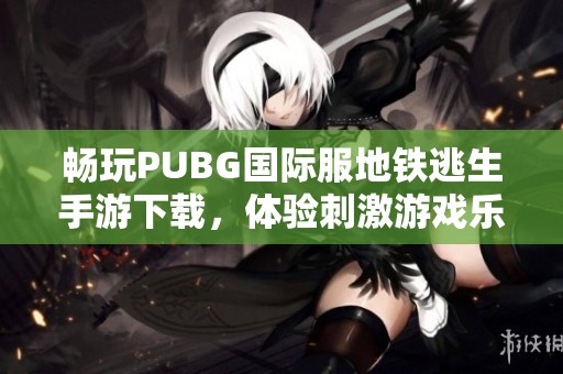 畅玩PUBG国际服地铁逃生手游下载，体验刺激游戏乐趣