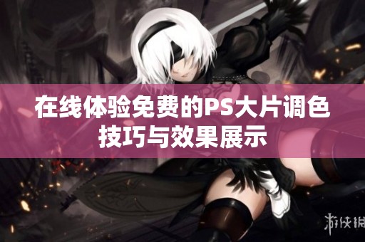 在线体验免费的PS大片调色技巧与效果展示