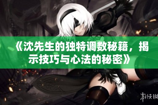 《沈先生的独特调数秘籍，揭示技巧与心法的秘密》