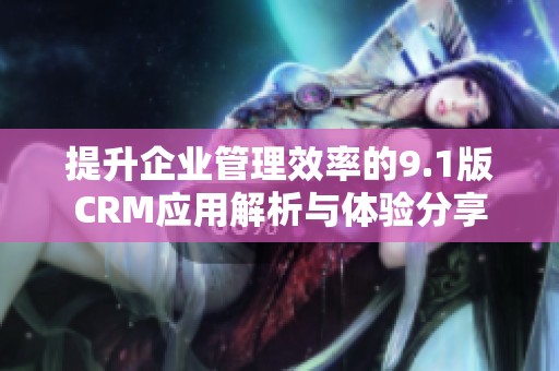 提升企业管理效率的9.1版CRM应用解析与体验分享