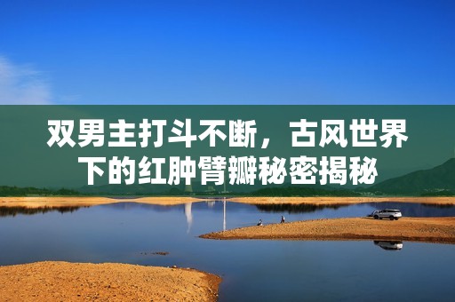 双男主打斗不断，古风世界下的红肿臂瓣秘密揭秘