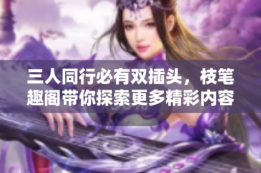 三人同行必有双插头，枝笔趣阁带你探索更多精彩内容