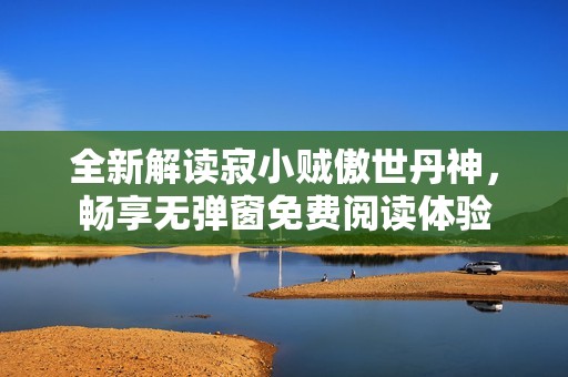 全新解读寂小贼傲世丹神，畅享无弹窗免费阅读体验