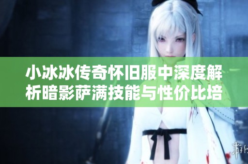 小冰冰传奇怀旧服中深度解析暗影萨满技能与性价比培养策略