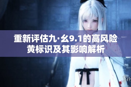 重新评估九·幺9.1的高风险黄标识及其影响解析