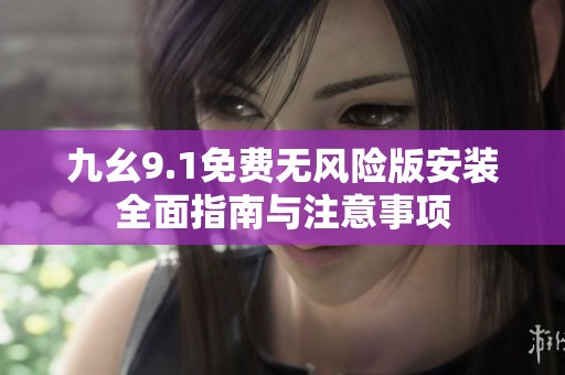 九幺9.1免费无风险版安装全面指南与注意事项