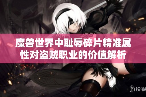 魔兽世界中耻辱碎片精准属性对盗贼职业的价值解析