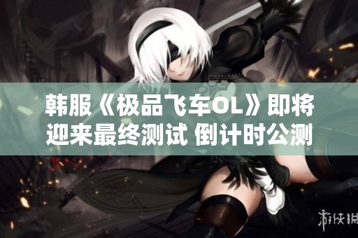韩服《极品飞车OL》即将迎来最终测试 倒计时公测开启