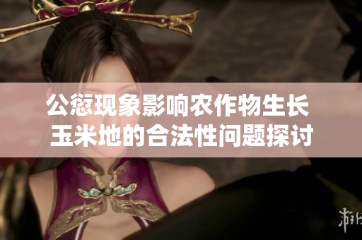 公愆现象影响农作物生长 玉米地的合法性问题探讨