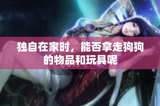 独自在家时，能否拿走狗狗的物品和玩具呢