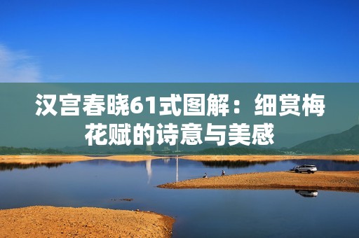汉宫春晓61式图解：细赏梅花赋的诗意与美感