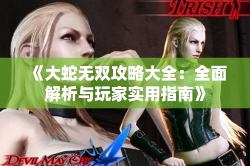 《大蛇无双攻略大全：全面解析与玩家实用指南》