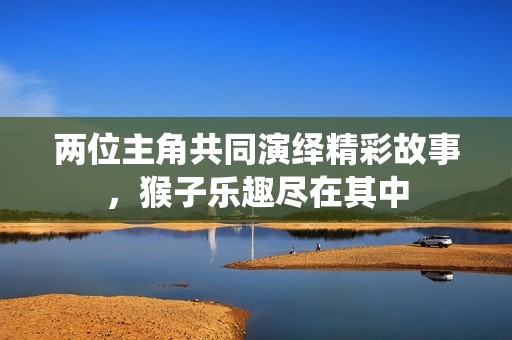 两位主角共同演绎精彩故事，猴子乐趣尽在其中