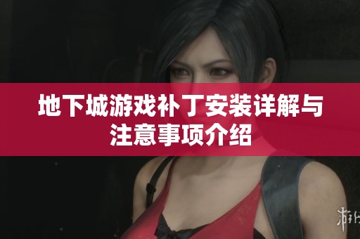 地下城游戏补丁安装详解与注意事项介绍