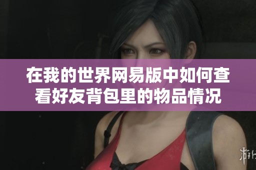 在我的世界网易版中如何查看好友背包里的物品情况