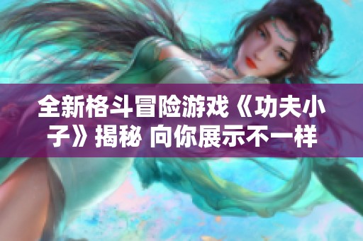 全新格斗冒险游戏《功夫小子》揭秘 向你展示不一样的战斗体验