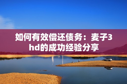 如何有效偿还债务：麦子3hd的成功经验分享