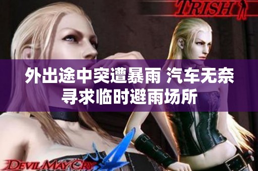 外出途中突遭暴雨 汽车无奈寻求临时避雨场所