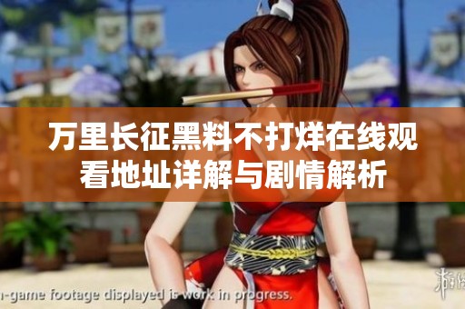 万里长征黑料不打烊在线观看地址详解与剧情解析