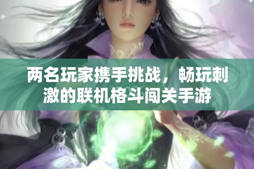 两名玩家携手挑战，畅玩刺激的联机格斗闯关手游