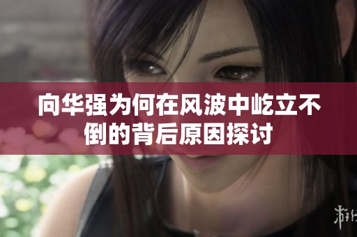 向华强为何在风波中屹立不倒的背后原因探讨