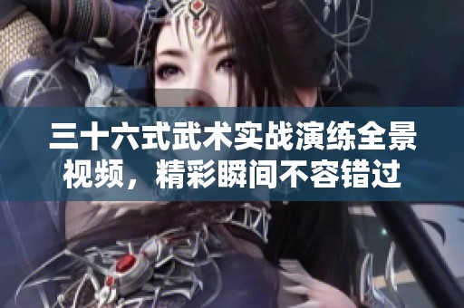 三十六式武术实战演练全景视频，精彩瞬间不容错过