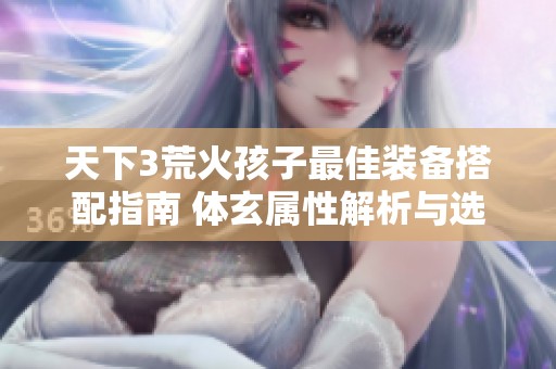 天下3荒火孩子最佳装备搭配指南 体玄属性解析与选择技巧