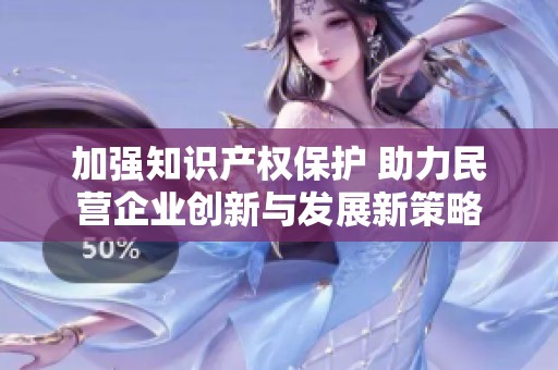 加强知识产权保护 助力民营企业创新与发展新策略
