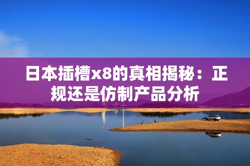 日本插槽x8的真相揭秘：正规还是仿制产品分析