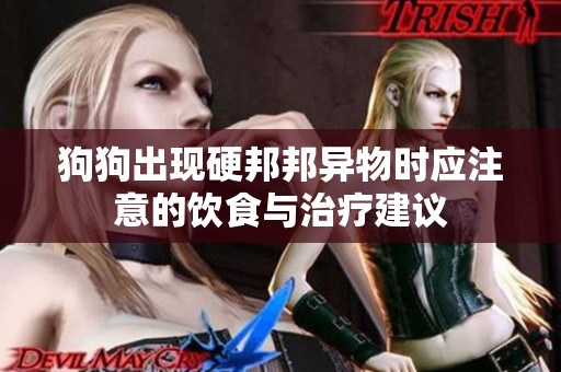 狗狗出现硬邦邦异物时应注意的饮食与治疗建议