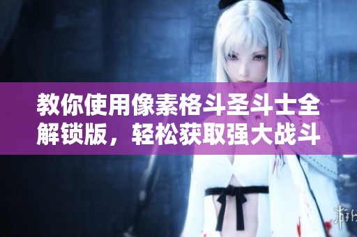 教你使用像素格斗圣斗士全解锁版，轻松获取强大战斗能力