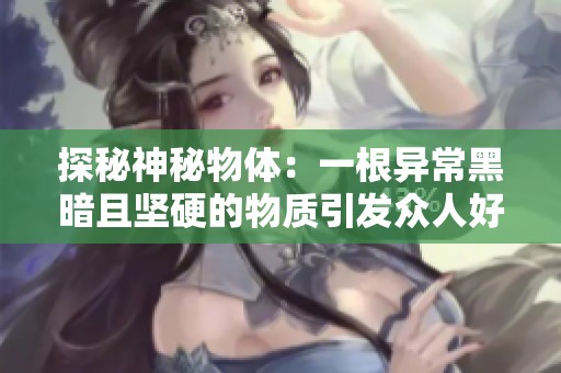 探秘神秘物体：一根异常黑暗且坚硬的物质引发众人好奇