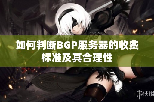 如何判断BGP服务器的收费标准及其合理性