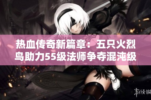 热血传奇新篇章：五只火烈鸟助力55级法师争夺混沌级项链