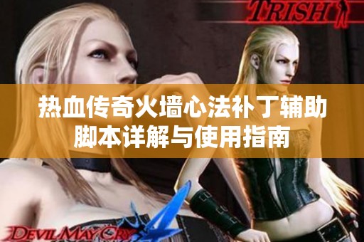 热血传奇火墙心法补丁辅助脚本详解与使用指南