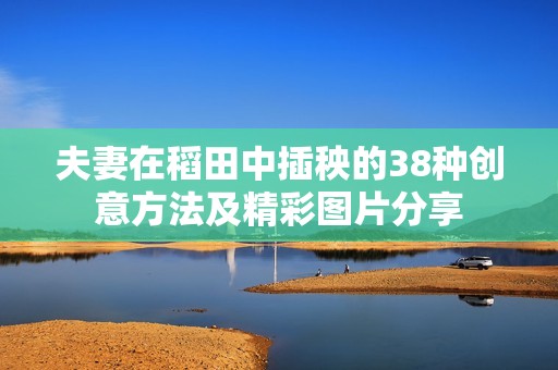 夫妻在稻田中插秧的38种创意方法及精彩图片分享