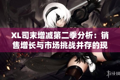XL司末增减第二季分析：销售增长与市场挑战并存的现状
