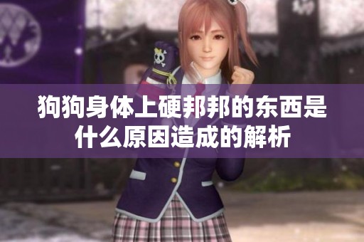 狗狗身体上硬邦邦的东西是什么原因造成的解析