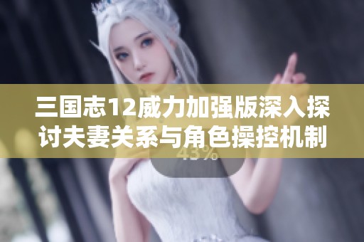三国志12威力加强版深入探讨夫妻关系与角色操控机制分析