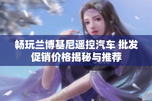 畅玩兰博基尼遥控汽车 批发促销价格揭秘与推荐