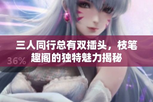 三人同行总有双插头，枝笔趣阁的独特魅力揭秘