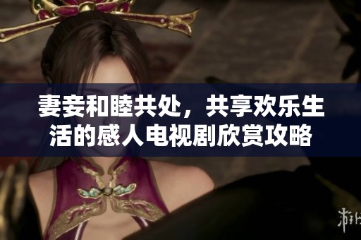 妻妾和睦共处，共享欢乐生活的感人电视剧欣赏攻略