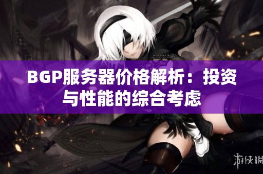 BGP服务器价格解析：投资与性能的综合考虑